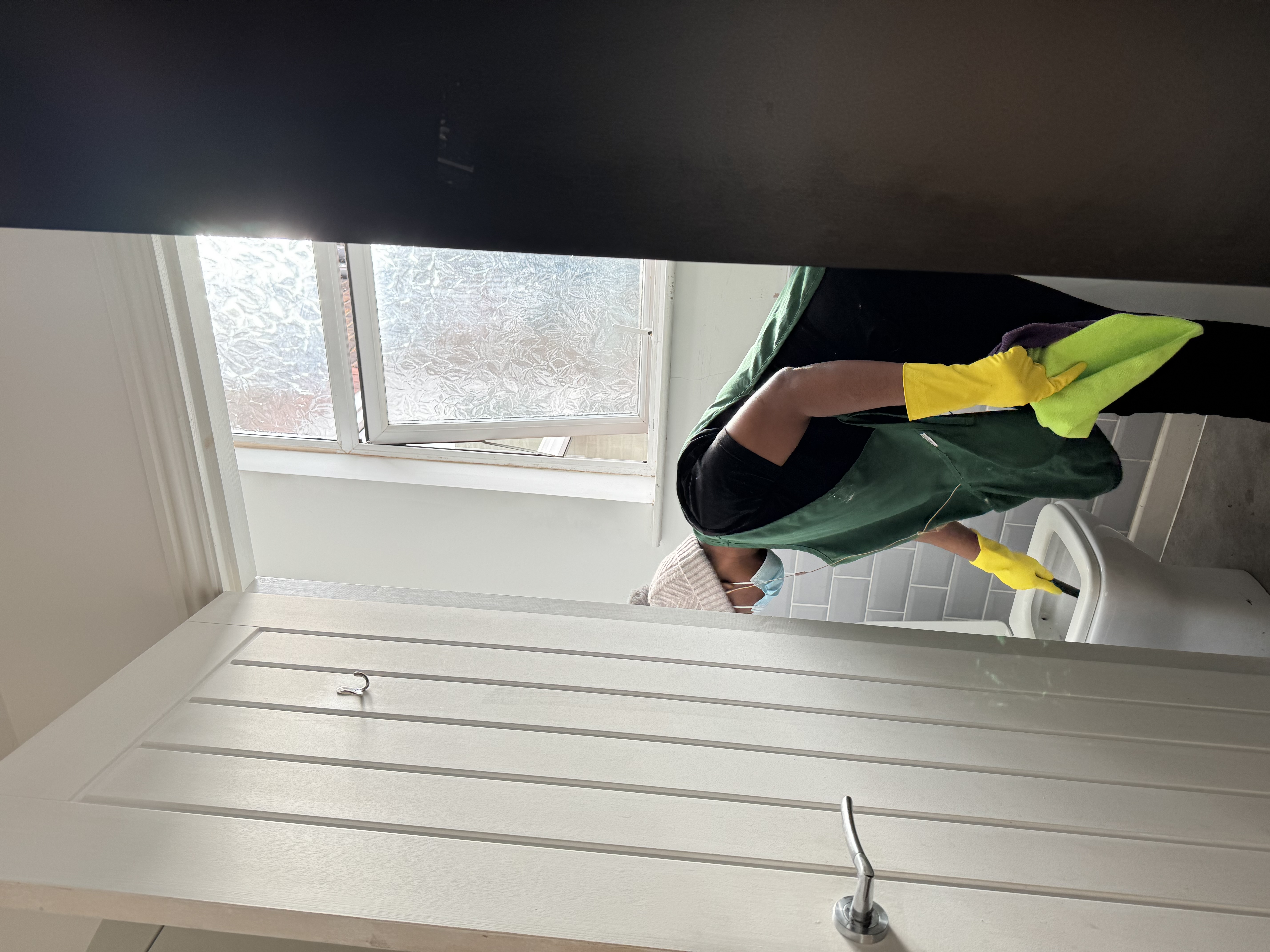 ToiletCleaning [Residential]